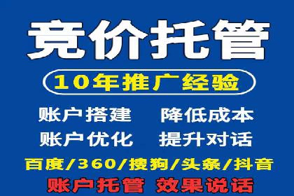 实战解析：SEM网络推广成功案例分享